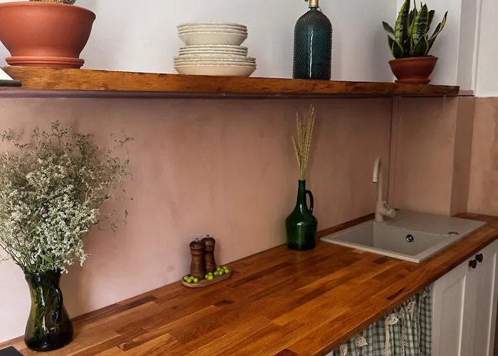 Cactus Boho Comfort
