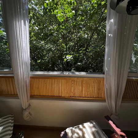 Cactus Boho Comfort Bükreş