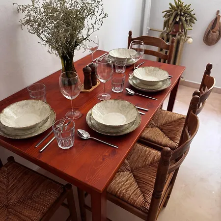 Cactus Boho Comfort * Bucarest