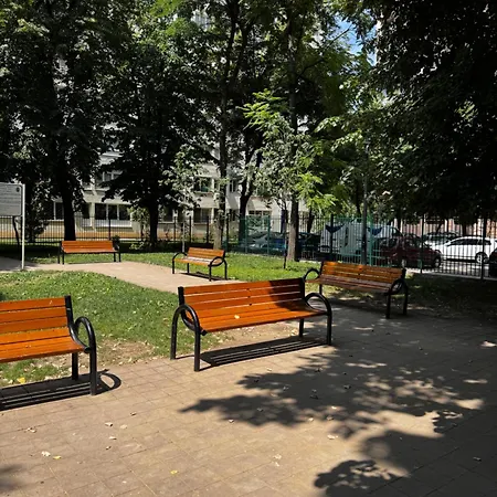 Cactus Boho Comfort Bükreş