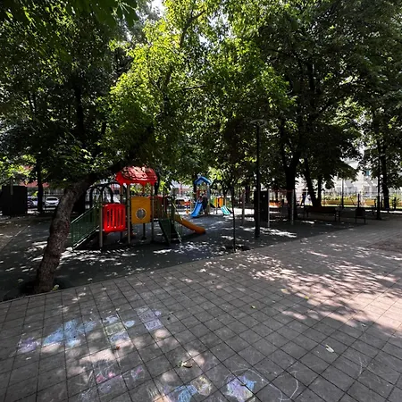 Cactus Boho Comfort *