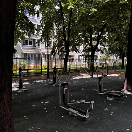 Cactus Boho Comfort *