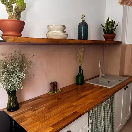 Cactus Boho Comfort