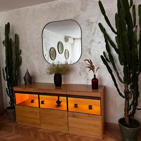 Cactus Boho Comfort