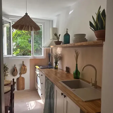 Cactus Boho Comfort *