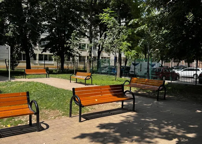 Cactus Boho Comfort Bukarest