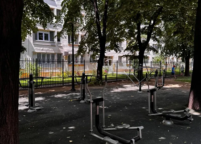 Cactus Boho Comfort *