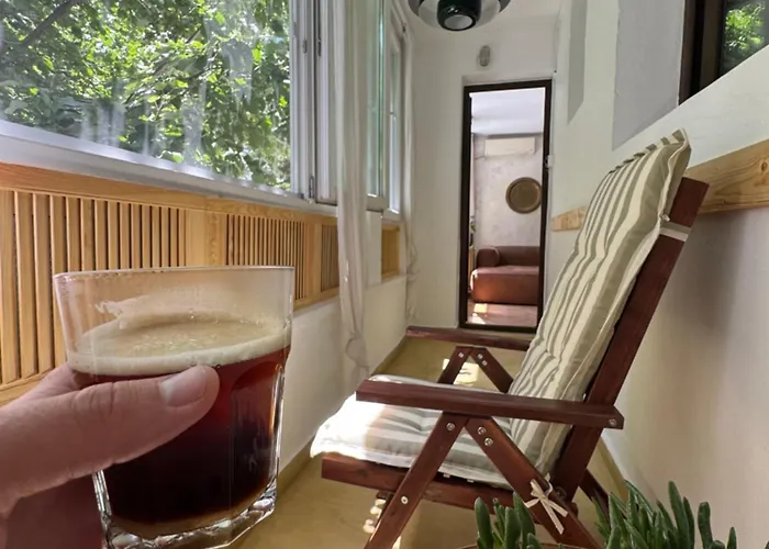 Cactus Boho Comfort *