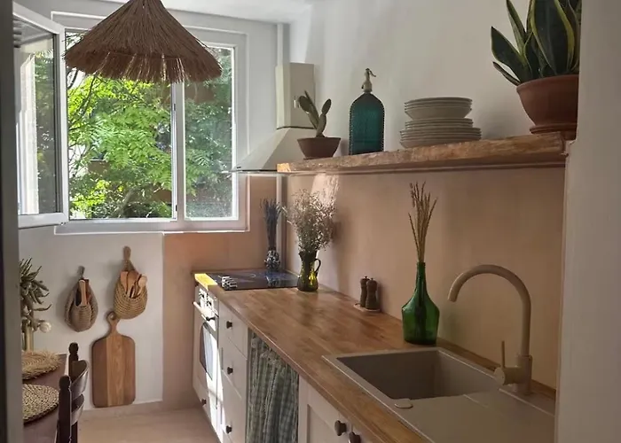 Cactus Boho Comfort *