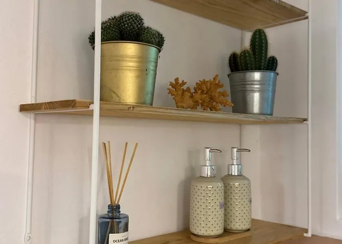 Cactus Boho Comfort Bukarest