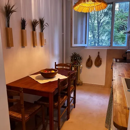 Appartement Cactus Boho Comfort