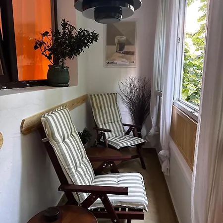 Appartement Cactus Boho Comfort Boekarest