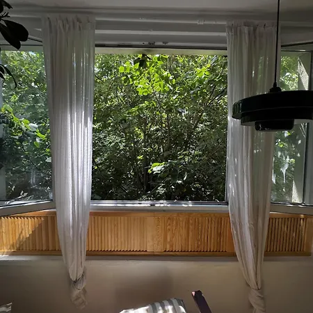 Cactus Boho Comfort *