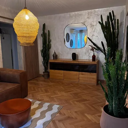 Cactus Boho Comfort *