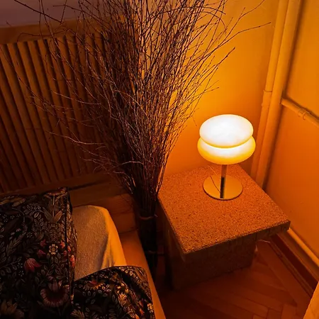 Appartement Cactus Boho Comfort