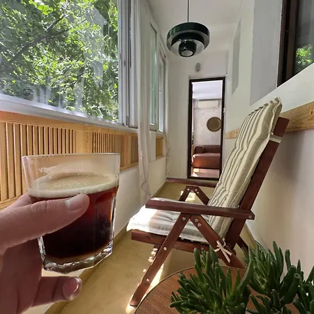 Cactus Boho Comfort *