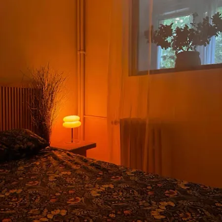 Cactus Boho Comfort Appartement