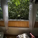Cactus Boho Comfort Bukarest