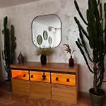 Cactus Boho Comfort