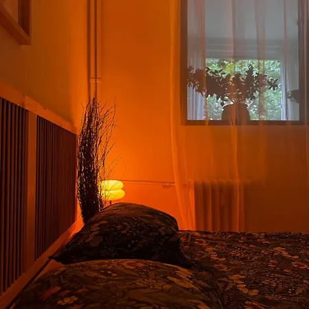Cactus Boho Comfort Apartment *