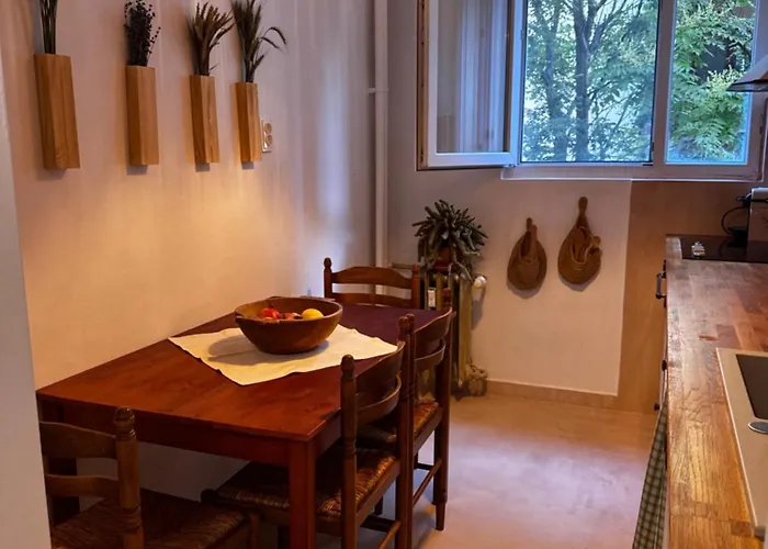 Apartment Cactus Boho Comfort