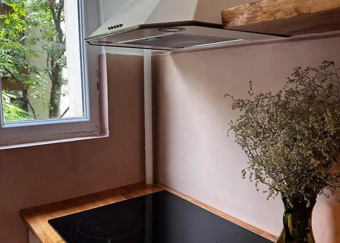 Apartment Cactus Boho Comfort