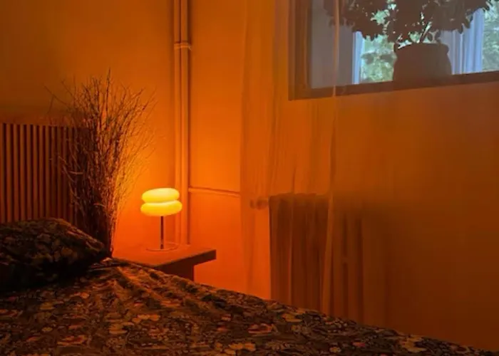 Cactus Boho Comfort Apartment